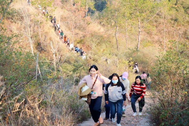 拾阶揽春晖，登高共奋进—崆峒公路段开展春季踏青登山活动