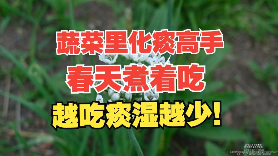 蔬菜里的“化痰高手”却常被当成杂草，鲜嫩正当季，炒一炒真香