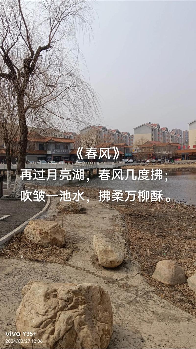 春日随笔：年年沙尘·年年柳色