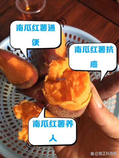如何正确食用红薯和南瓜？