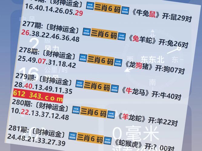 2024新澳门今晚开奖结果-全面释义、专家解释与落实与警惕虚假宣传