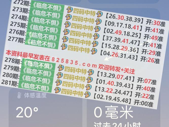 2024今晚澳门开什么号码?全面释义、解释与落实与警惕虚假宣传