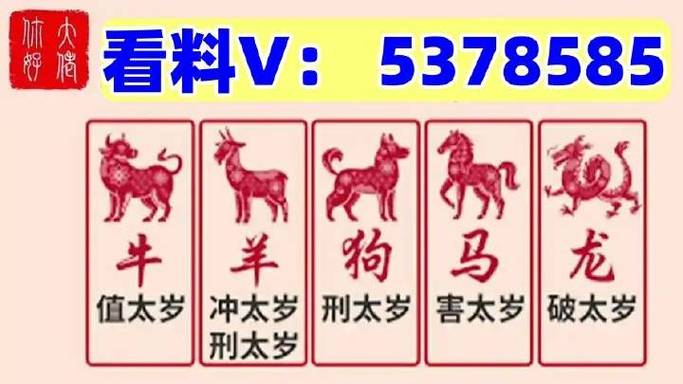 2024今晚澳门开什么号码马是几号-全面释义、解释与落实与警惕虚假宣传