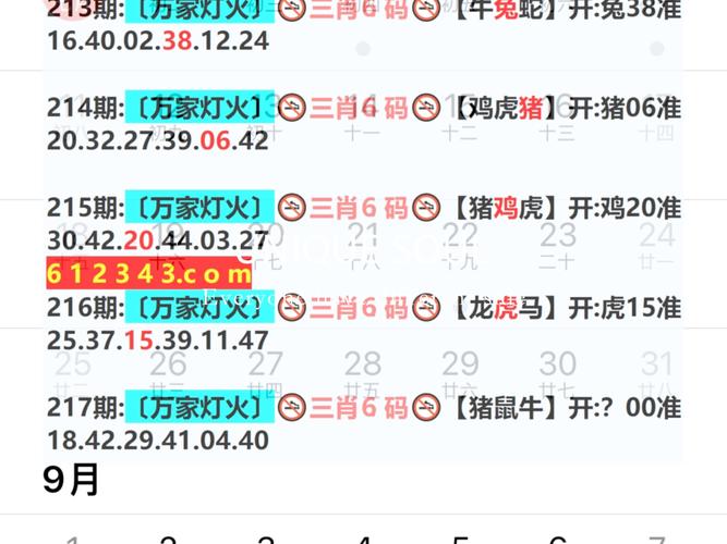 4949澳门开奖现场开奖直播2023年12月28-精选释义、解释与落实与警惕虚假宣传