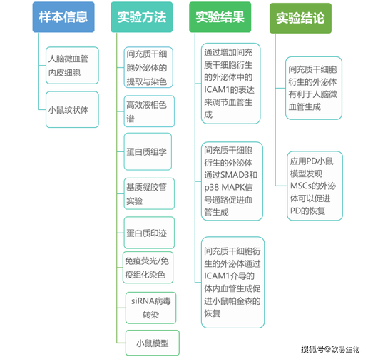 2025新奥资料正版大全,精选释义、解释与落实与警惕虚假宣传