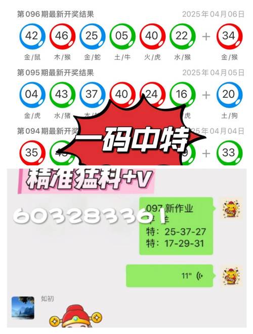 新澳现场开奖结果查询,全面释义、专家解释与落实与警惕虚假宣传