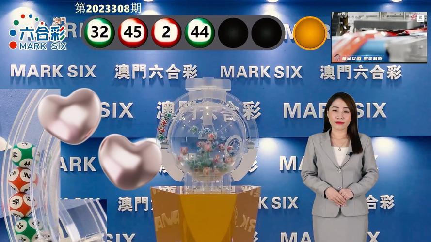 新澳门开奖号码2024年开奖结果历史记录,全面释义、专家解释与落实与警惕虚假宣传