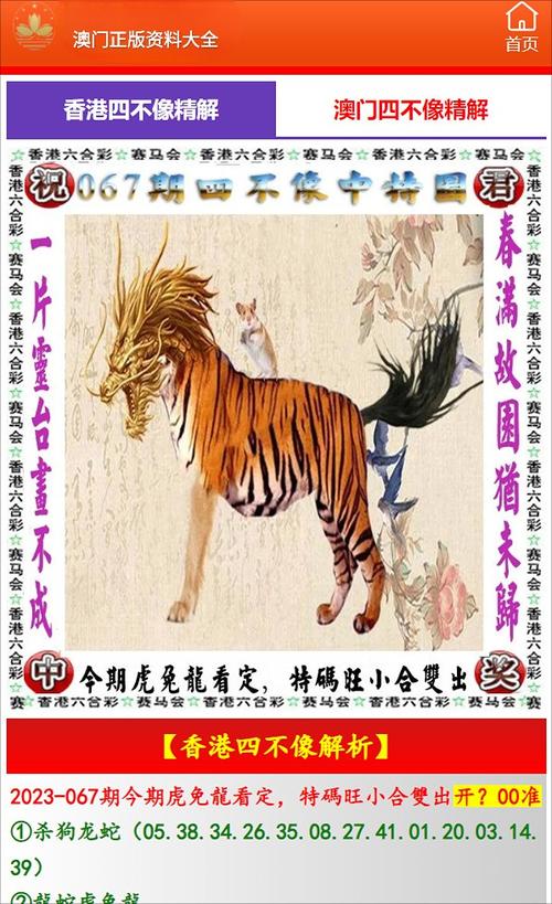 澳门2024正版资料免费公开49图库,精选释义、解释与落实与警惕虚假宣传