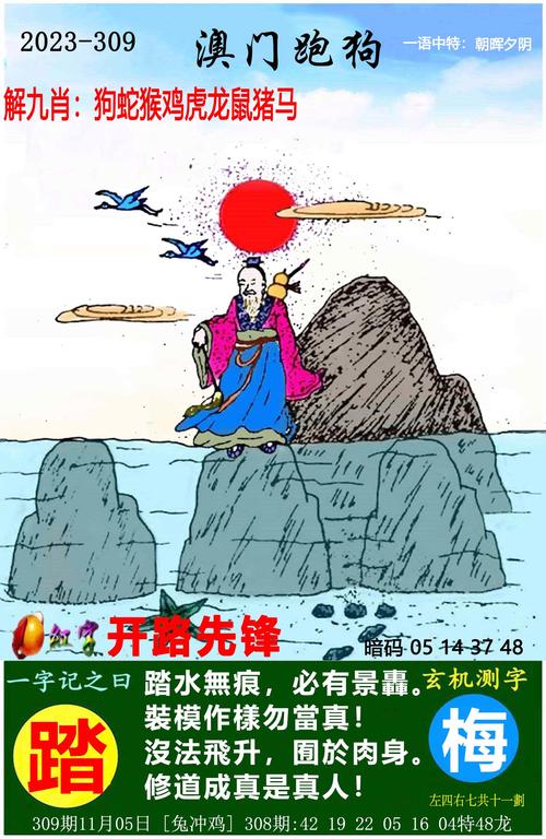 500308cσm新版跑狗图,2025全面解析实用技巧分享