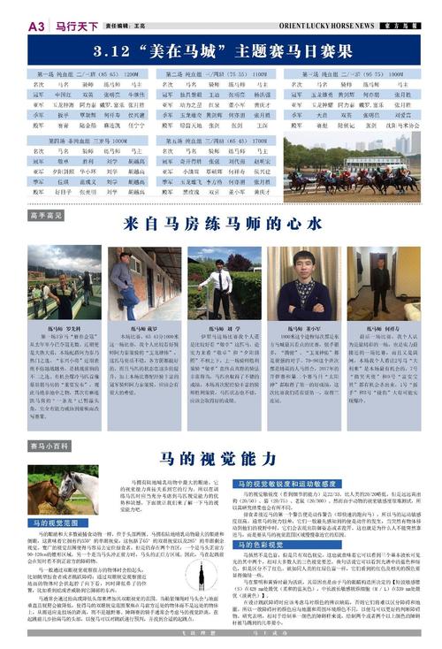 澳门传真2025年正版资料免费查询查询,2025年最新实用信息汇总指南