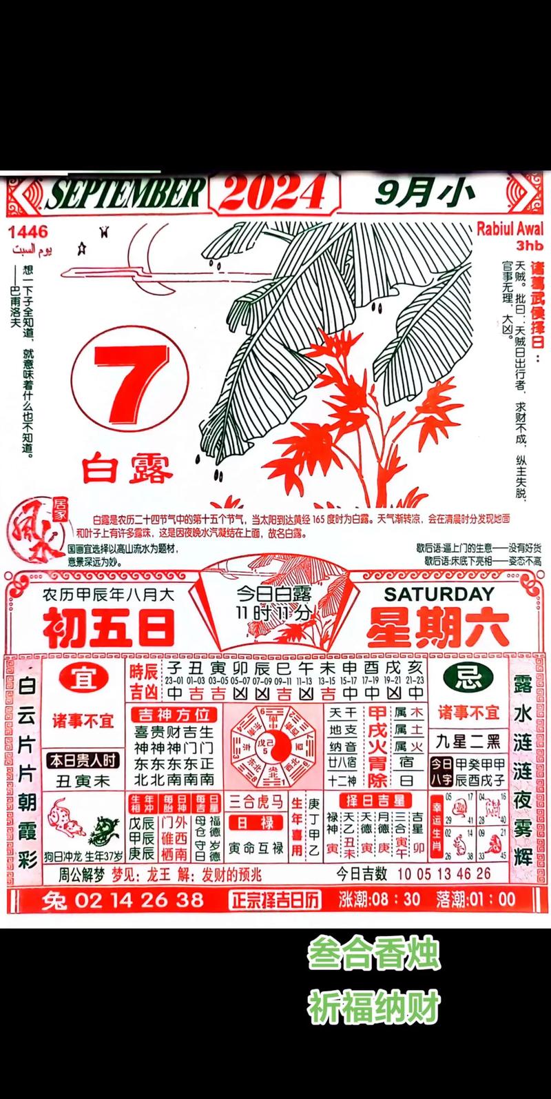 2024澳门资料大全正版资料109期与精准一肖100准确精准资料大全全面释义、解释与落实与警惕虚假宣传