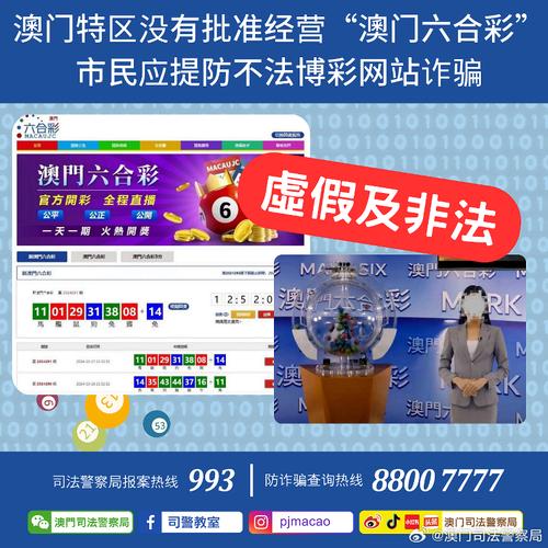 澳门2023资料大全一,全面释义、专家解释与落实与警惕虚假宣传