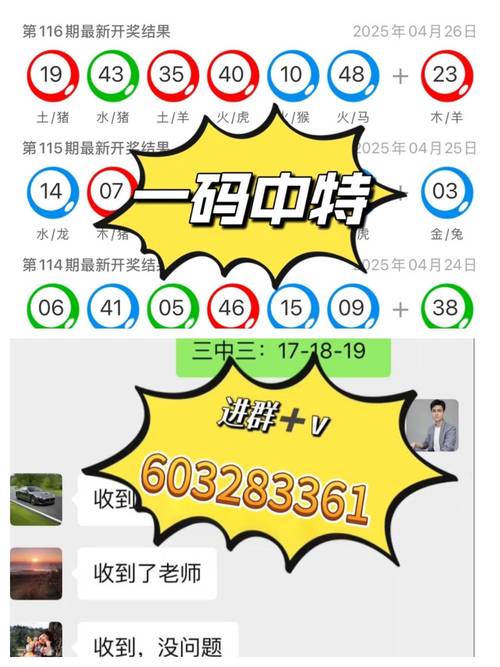 新澳天天开奖资料大全最新版与新澳门今晚开奖结果查询全面释义、解释与落实与警惕虚假宣传