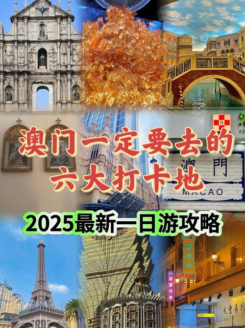 2025年新澳门全年免费-2025全面解析实用技巧分享