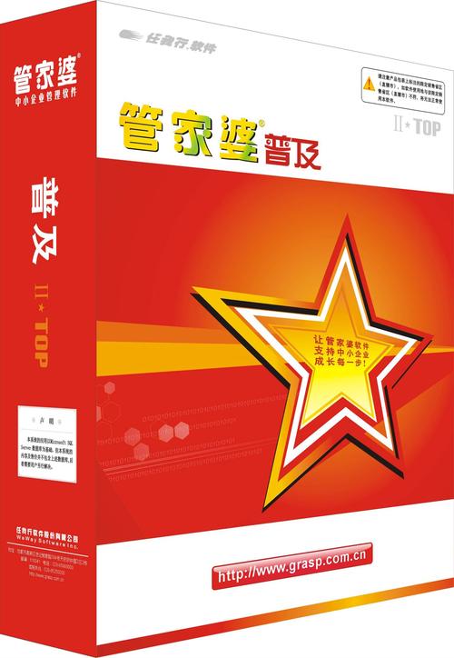 管家婆正版管家,2025全面解析实用技巧分享